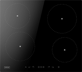Induktionsfeld Reparatur Verden